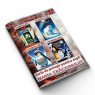 Magia Crăciunului #6 - Poveștile 21, 22, 23 și 24 – Cartea 6 din Seria „Povești pentru copii: Magia Crăciunului”