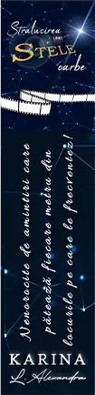 Semn de carte „Strălucirea unei stele oarbe”  #10
